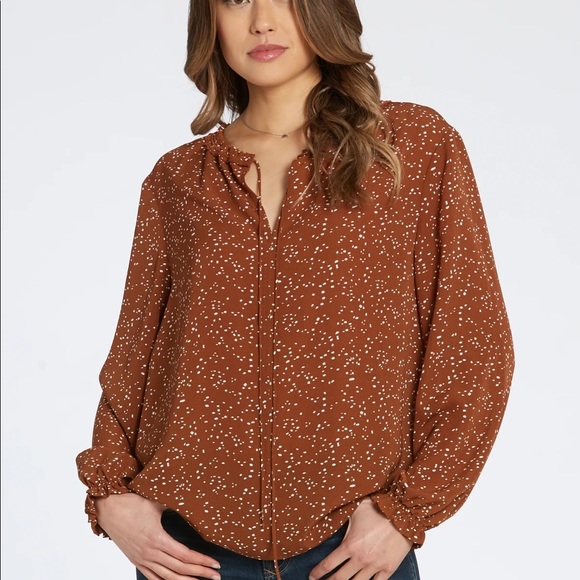 Dear John Emory caramel dot Blouse - Picture 1 of 4